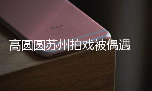 戏被圆苏友的爱州拍赞网宝宝高圆好可 夸偶遇
